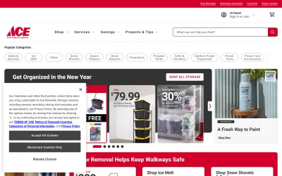 acehardware.com screenshot