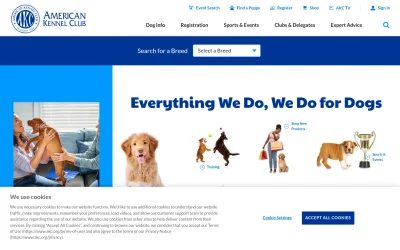 akc.org screenshot