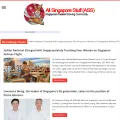 allsingaporestuff.com screenshot