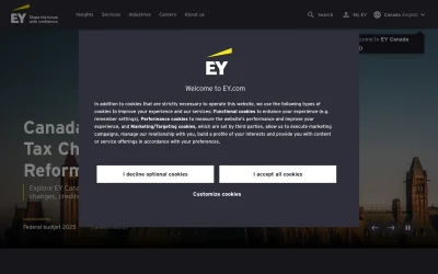 ey.com screenshot
