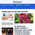 foozine.com screenshot