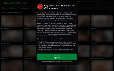 gaymaletube.com screenshot