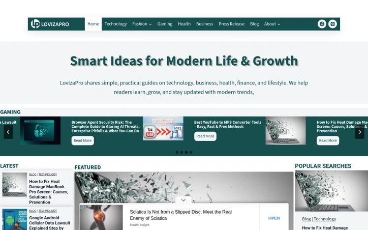 lovizapro.com screenshot