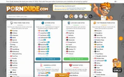 Preview of theporndude.com
