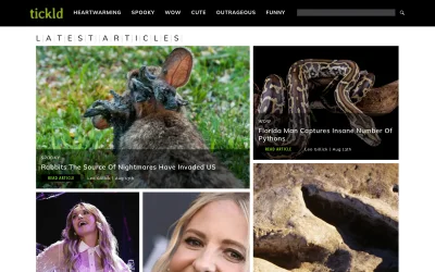 tickld.com screenshot