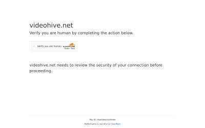 Preview of videohive.net